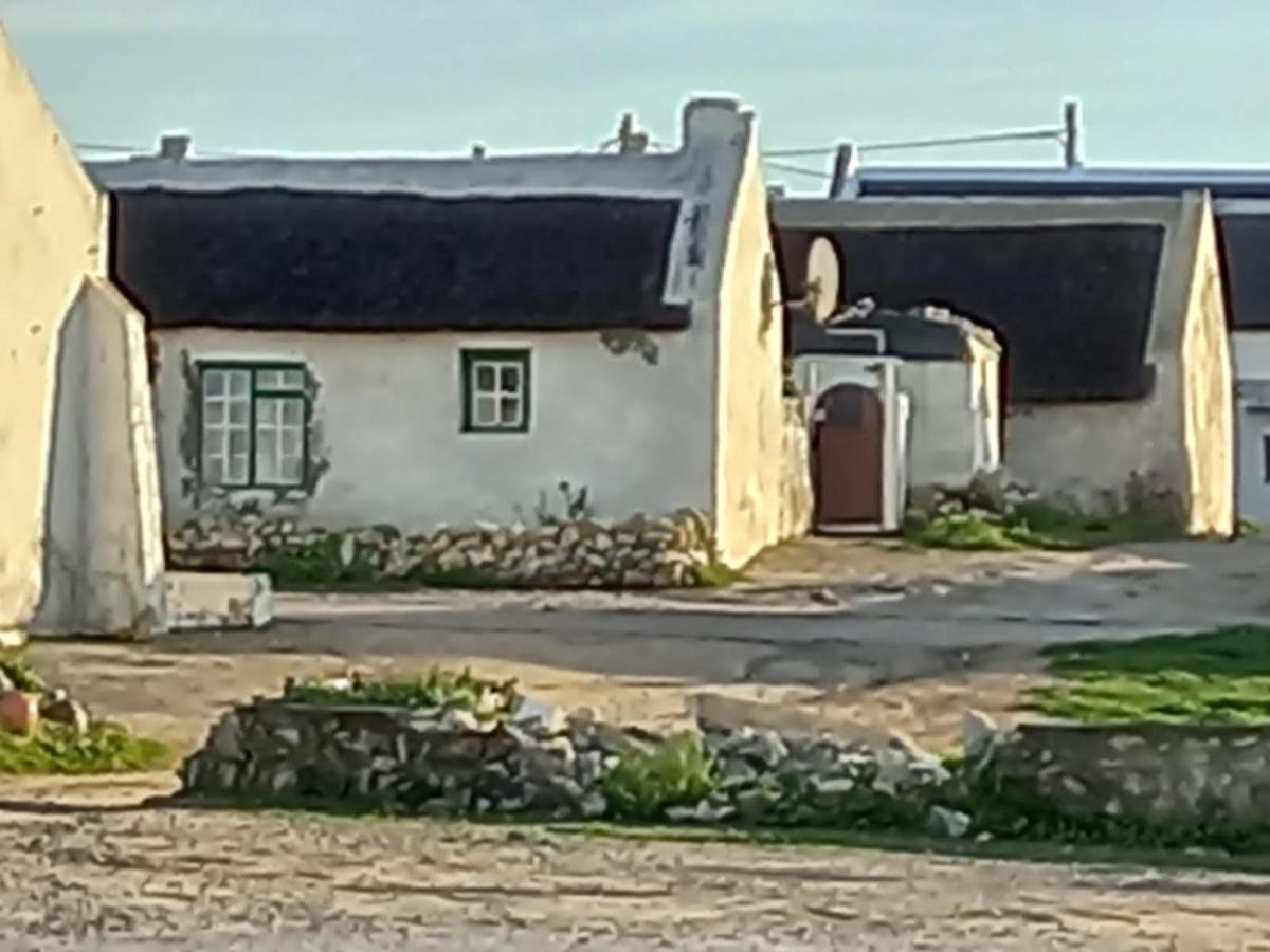 Bluesky Arniston Guest House المظهر الخارجي الصورة