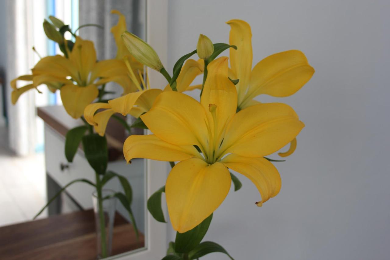 Bluesky Arniston Guest House المظهر الخارجي الصورة