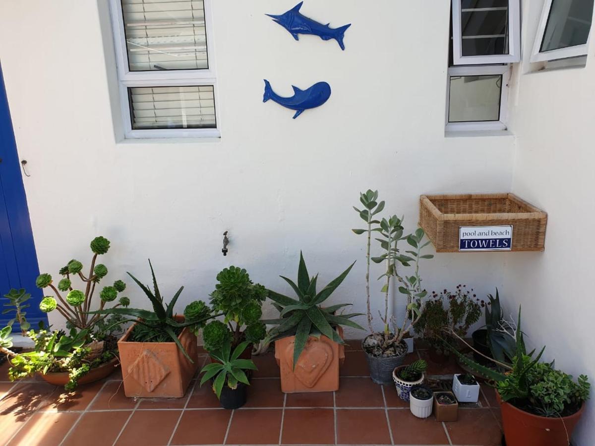 Bluesky Arniston Guest House المظهر الخارجي الصورة
